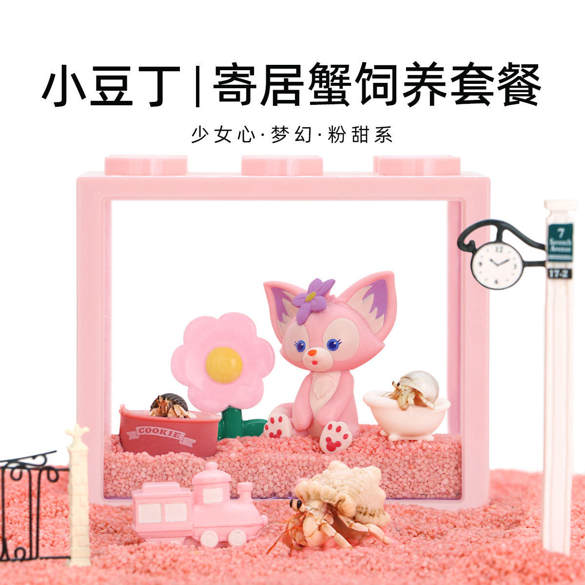 陌派寄居蟹新手饲养套装套餐～饲养盒儿童宠物女孩礼物活体积木盒