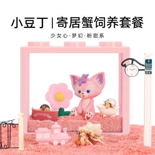 陌派寄居蟹新手饲养套装套餐～饲养盒儿童宠物女孩礼物活体积木盒