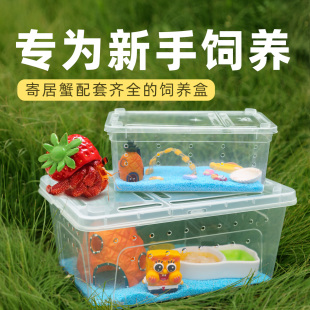 相守蟹套装 寄居蟹新手套餐饲养箱盒～饲养用品 桌面宠物儿童礼物