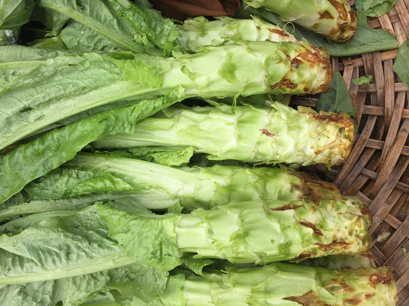 南京新鲜农家自种莴笋紫叶香莴笋 香糯脆嫩 下锅就烂春季时令蔬菜