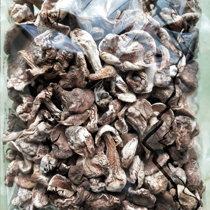 张家口优质野生口蘑小蘑菇丁食用菌农产品干货450g实惠装天路特产