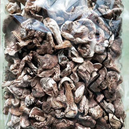 张家口优质野生口蘑小蘑菇丁食用菌农产品干货450g实惠装天路特产