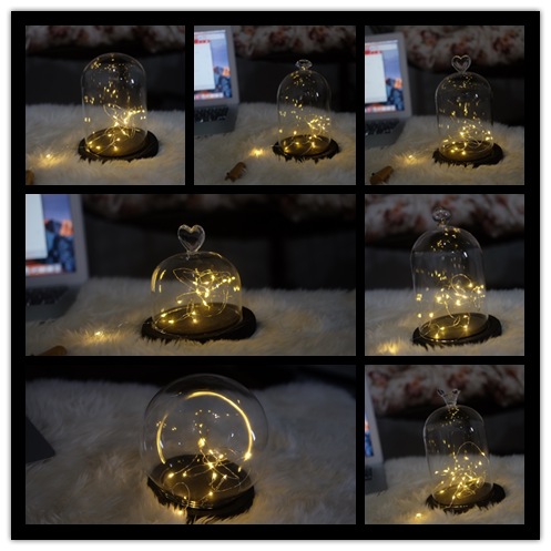 FreezeLove专用保鲜花永生花玻璃罩 diy玻璃花房 容器 不含灯|ruв категории Домашний быт, ваза/цветок/искусственные цветы/моделирование украшения, цветок/ваза, ваза - от Buy2taobao.com для оказания профессиональной услуги покупки агента Taobao