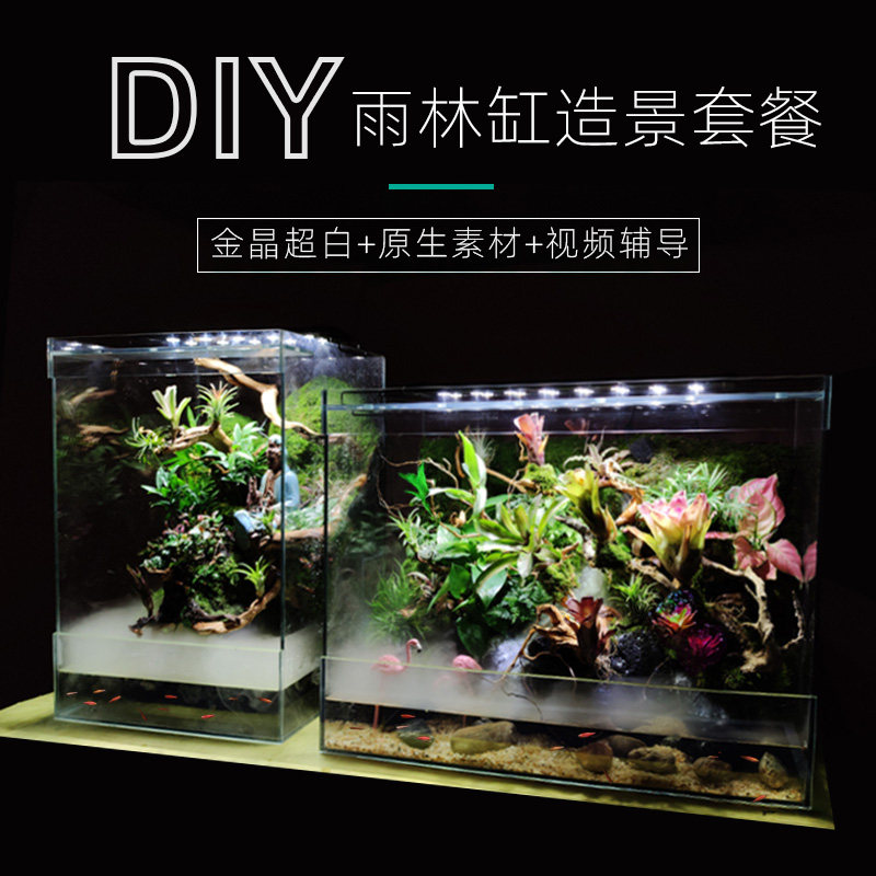 dooa瀑布水陆缸 桌面水草缸 原生缸 雨林缸 热带生态爬宠乌龟缸