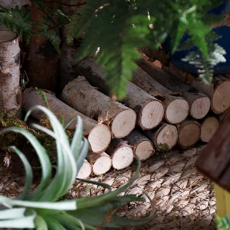 白桦木小栅栏室内花园庭院小篱笆装饰摆件微景观造景围栏实木户外-封面