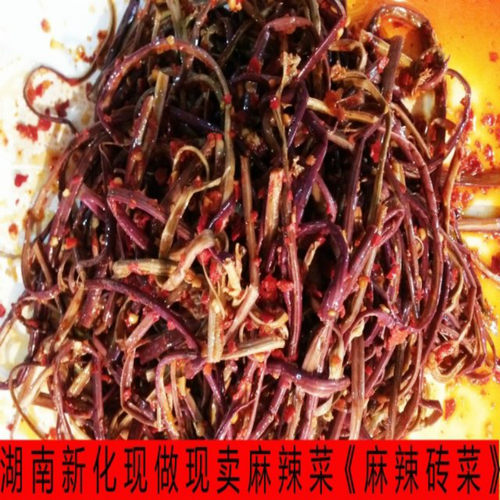 湖南新化特产麻辣菜麻辣砖菜正宗口味特色现做现卖真空包装食品 - 封面
