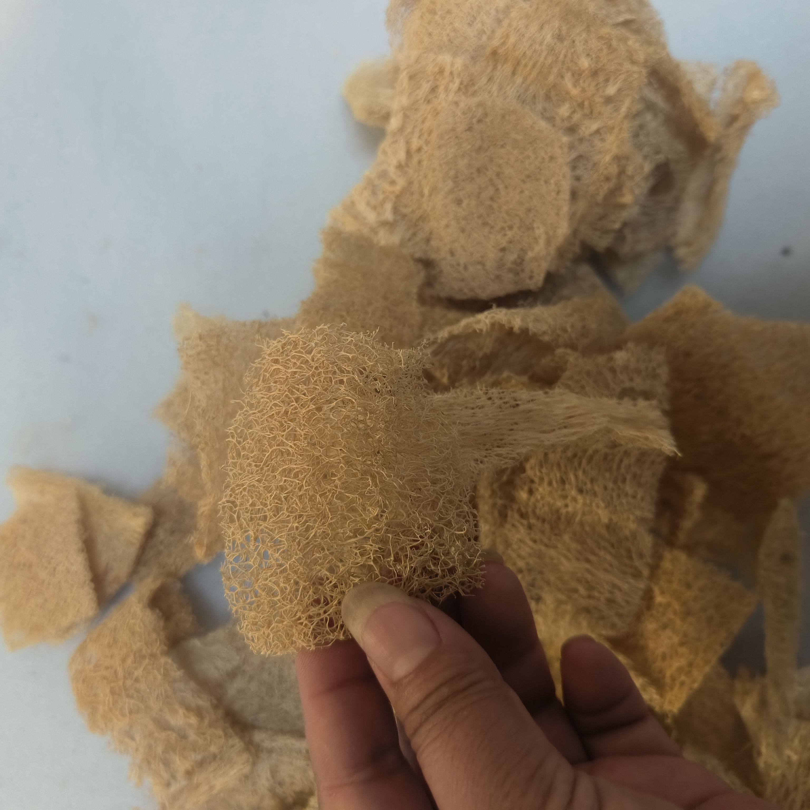 瓜呱络丝瓜络食品级煮水去茶垢天然原色未漂白无添加芯片随机发 1