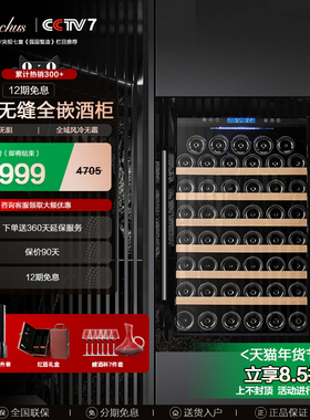 Bacchus/芭克斯YC-110嵌入式恒温红酒柜家用客厅风冷冰吧冷藏窖藏