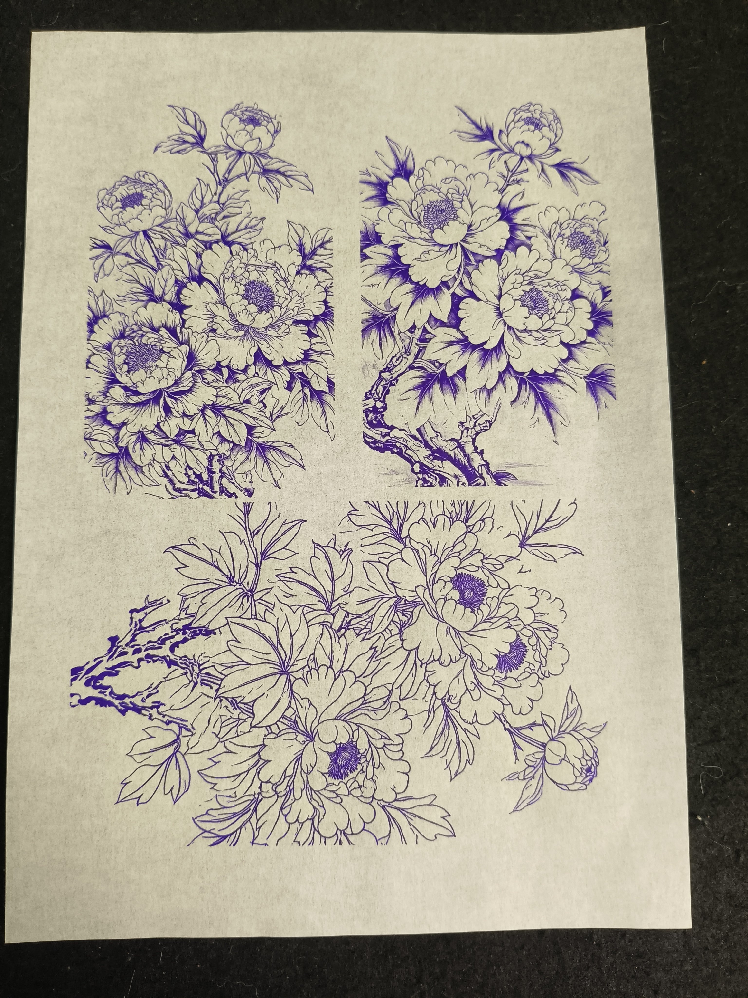 葫芦玉竹烙画烫画转印贴纸花鸟篇拓印图送一瓶十毫升转印油,特色手工艺,葫芦,淘宝优惠券,粉丝福利购,淘宝优惠卷