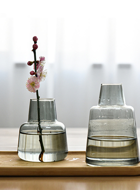 北欧ins烟灰色玻璃花瓶简约创意透明香薰家居桌面摆件可水培花器