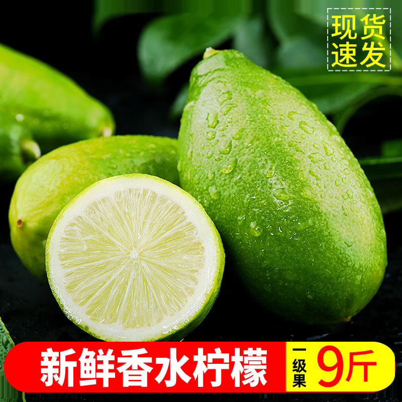 海南香水新鲜现摘包邮四川青柠檬