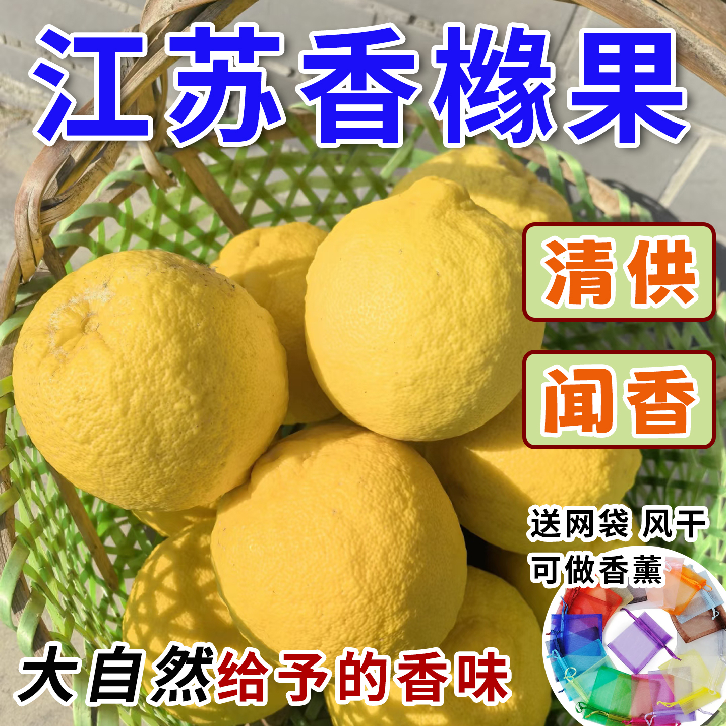 江苏香橼果清供黄香圆闻香除味