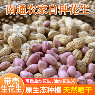 南通花生壳农家自种干花生如皋本地花生饱满2024年生花生带壳晒干