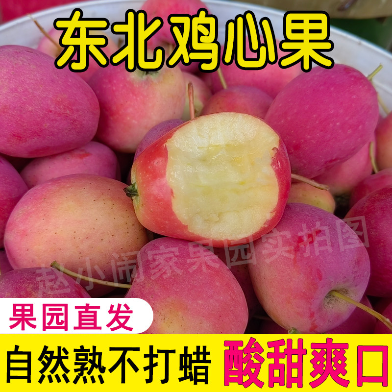 正宗东北鸡心果山地小苹果锦绣海棠果应当季沙果孕妇宝宝新鲜水果