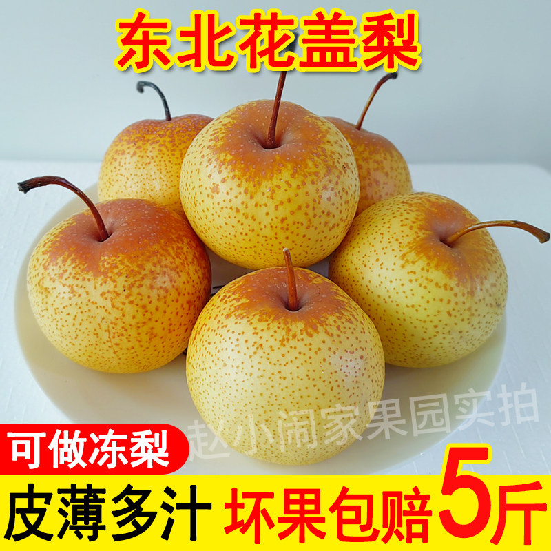 26年花盖梨5斤包邮东北鞍山特产软梨秋子梨酸甜新鲜可做冻梨水果