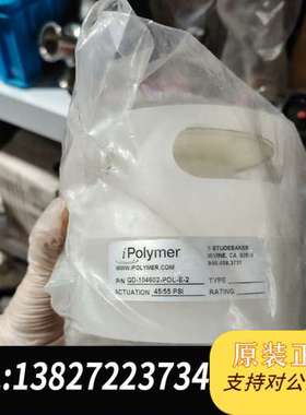 阀门QD-104602-POL-E-2