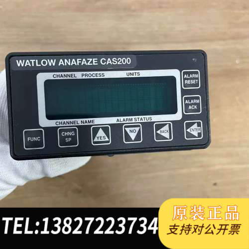 全新原装WATLOW ANAFAZE CAS200 Temperat