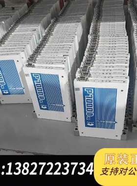 Fujikin质量计P1000D，型号FCSP7202D