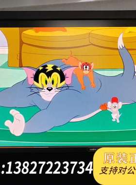 EIZO FlexScan S2433W