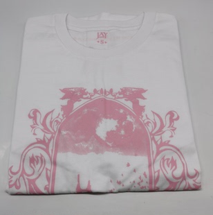 白色 女士T恤百分百纯棉短袖 JAY周边正品 十周年TEE