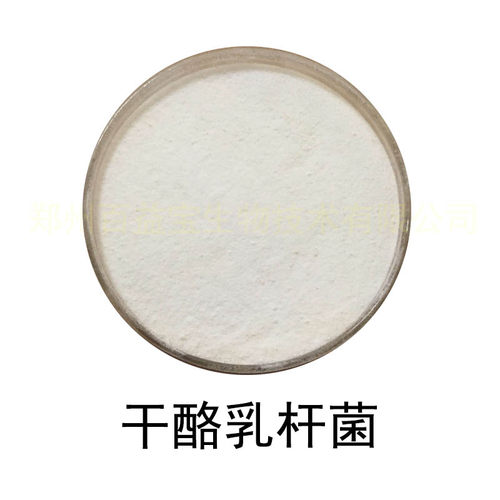 实验检测益生菌冻干粉干酪乳杆菌