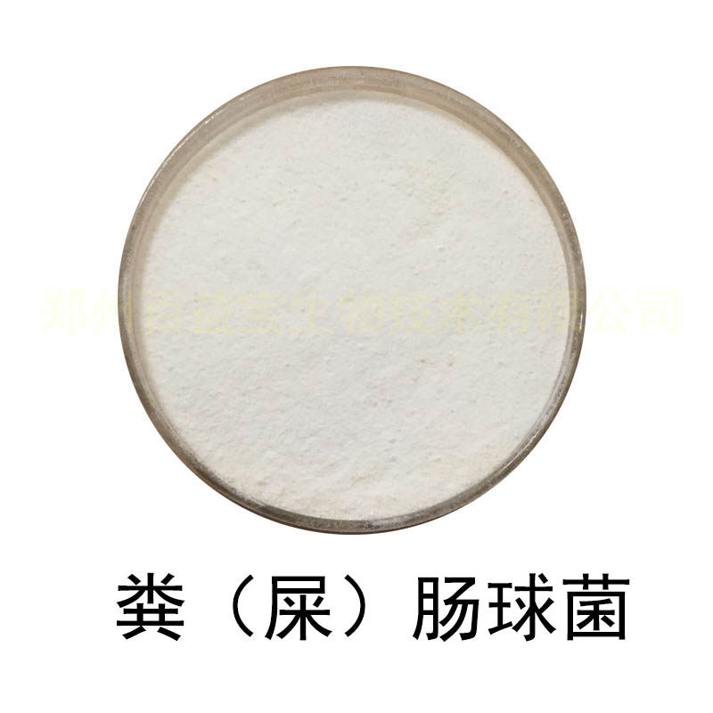 粪肠球菌秸秆青贮动物饲料添加剂