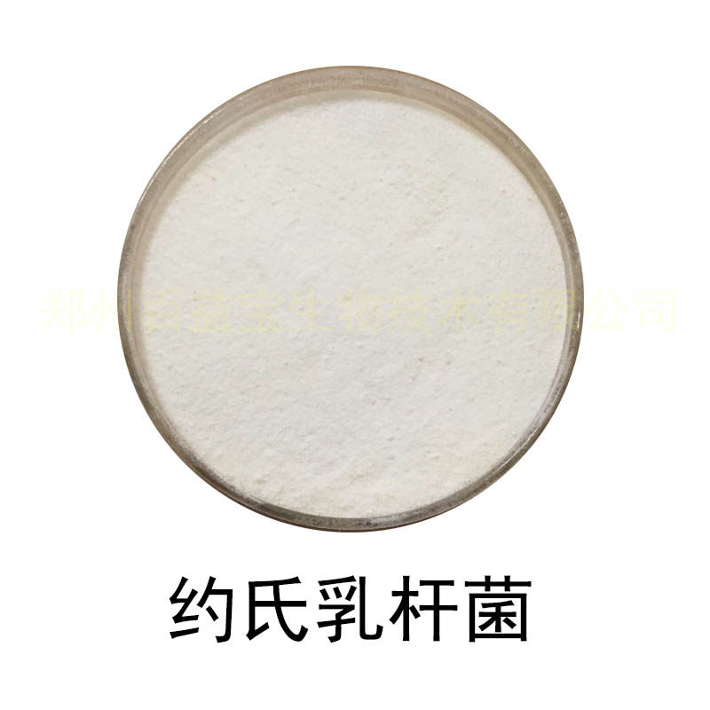 约氏乳杆菌  食品级乳酸菌冻干粉 活性实验检测用益生菌原粉200亿