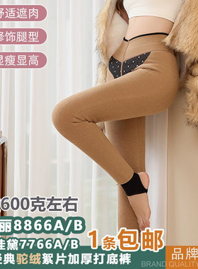 蓝玫佳黛女羊毛絮片保暖裤玫之丽