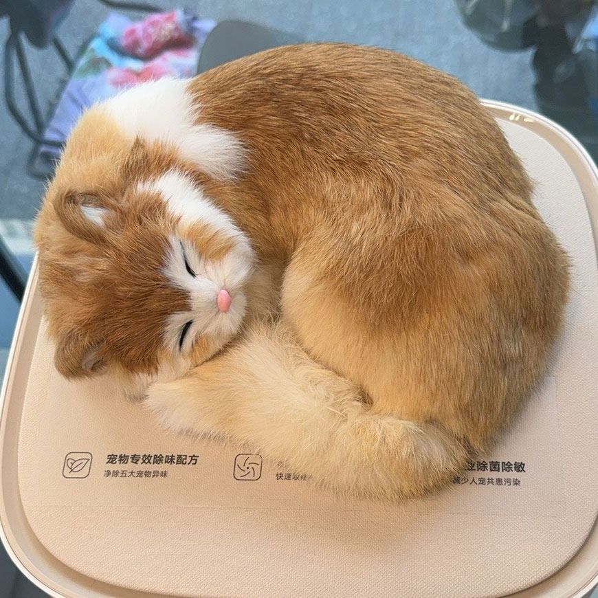 跨境仿真睡觉猫咪动物模型创意家居橱窗柜台皮毛工艺摆设拍照道具