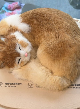 跨境仿真睡觉猫咪动物模型创意家居橱窗柜台皮毛工艺摆设拍照道具