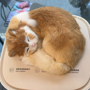 跨境仿真睡觉猫咪动物模型创意家居橱窗柜台皮毛工艺摆设拍照道具