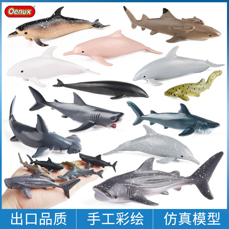 实心海洋生物海豚鲨鱼锤头鲨