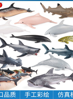 实心海洋生物海豚鲨鱼锤头鲨