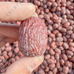 新疆礼物麦盖提特产王级超特级灰枣原生态枣兵团红枣包邮产地直发