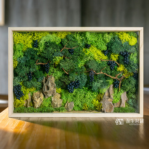 手工艺品摆件润生苔藓苔藓微景观