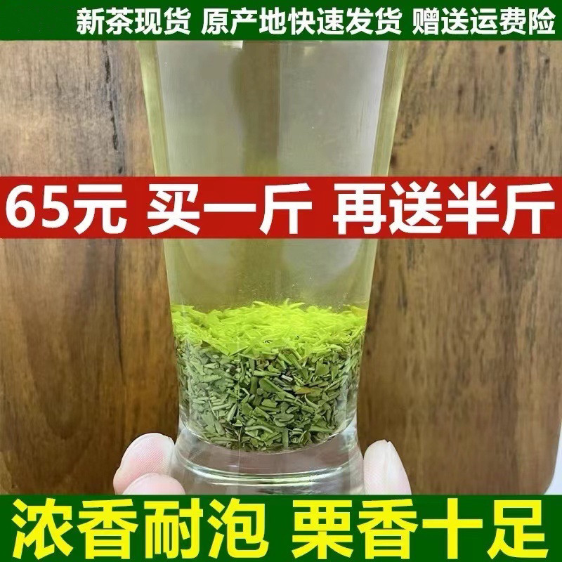 【发1.5斤】2026新茶末信阳毛尖茶叶散装碎茶雨前茶末浓香型750g