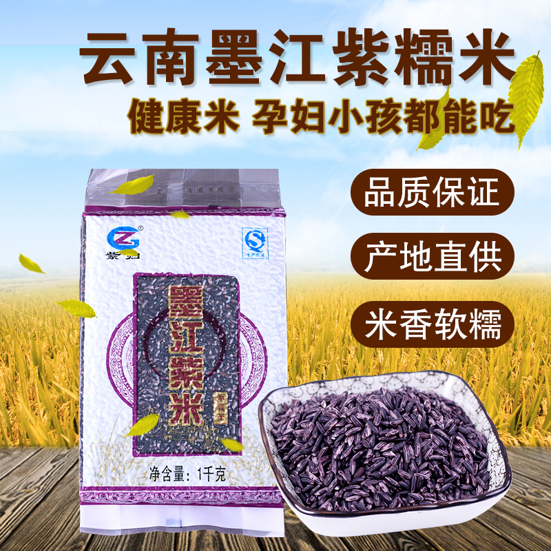 云南特产墨江紫米紫糯米正宗农家自产紫归血糯米新米散装2斤袋装