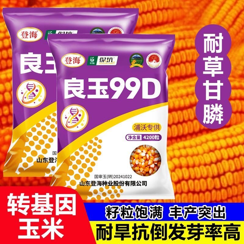 转基因农科院高产玉米种子大棒抗倒耐草甘膦抗虫活秆熟苞米种,农用物资,玉米种子/种苗,淘宝优惠券,粉丝福利购,淘宝优惠卷