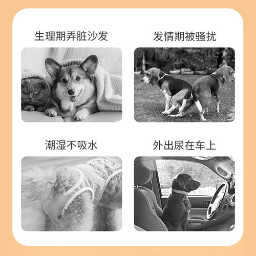 泰迪姨妈巾经期卫生裤小狗防骚扰