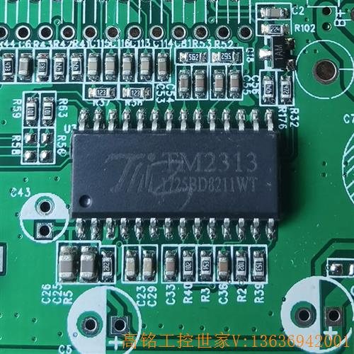 天微 TM2313兼容PT2313 SOP28 SSOP28(议价)-封面