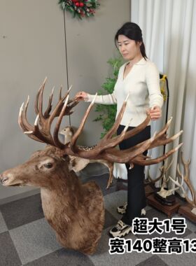 壁挂鹿头特大号长脖子多叉鹿角可拆卸客厅财鹿酒吧装饰复古家居