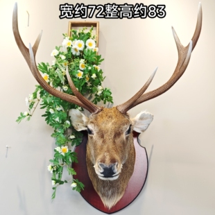 壁挂鹿头复古装饰工艺仿真鹿角真皮毛壁炉挂背景墙装饰招财鹿