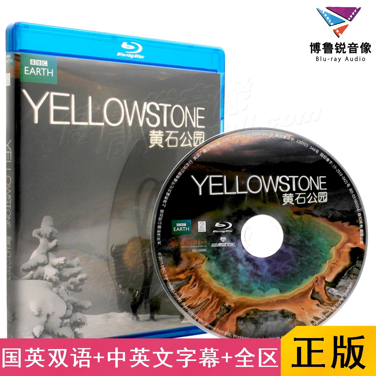 带我们亲历野生动物在季节极限下的生活