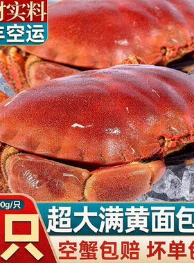 【顺丰空运】超大面包蟹母帝王蟹熟冻大螃蟹海蟹新鲜黄金蟹珍宝蟹