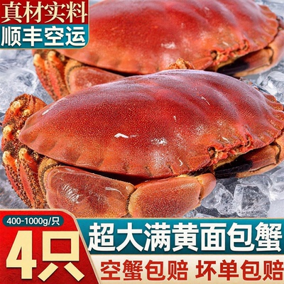 【顺丰空运】超大面包蟹母帝王蟹熟冻大螃蟹海蟹新鲜黄金蟹珍宝蟹