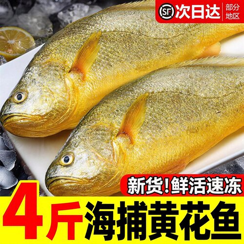 【顺丰到家】黄花鱼新鲜冷冻黄花鱼大黄花鱼海鲜水产小黄花鱼烧烤
