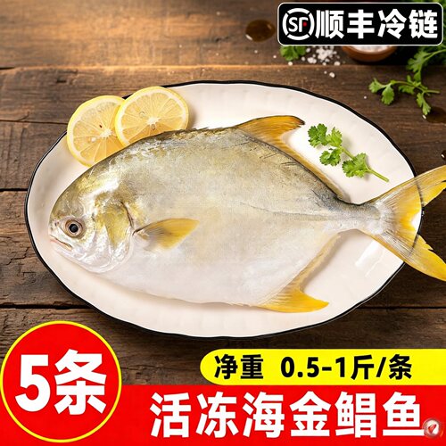 【顺丰到家】金鲳鱼新鲜冷冻特大扁鲳金昌鱼海捕冰鲜平昌鱼金昌鱼