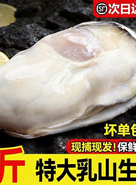 【顺丰空运】乳山大生蚝鲜活特大牡蛎带壳生吃海蛎子新鲜海鲜水产