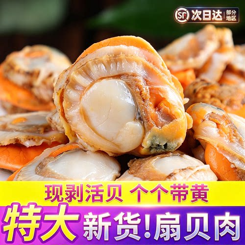 【顺丰空运】扇贝肉新鲜冷冻大号带黄带膏海鲜水产鲜贝肉蒜蓉扇贝