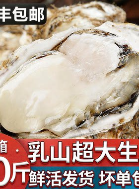 【顺丰空运】乳山生蚝鲜活特大牡蛎带壳海蛎子新鲜大生蚝带箱10斤